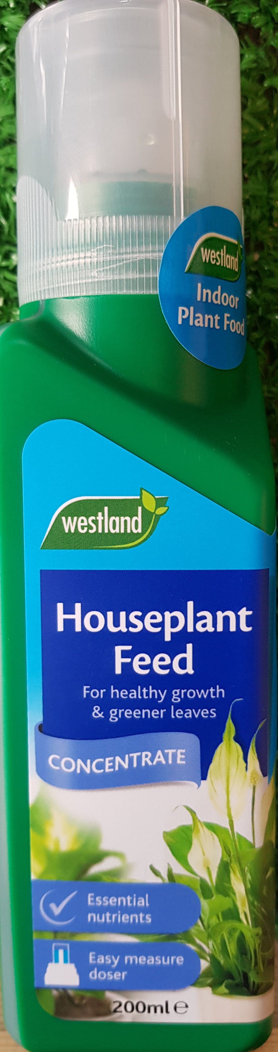 Houseplant Feed