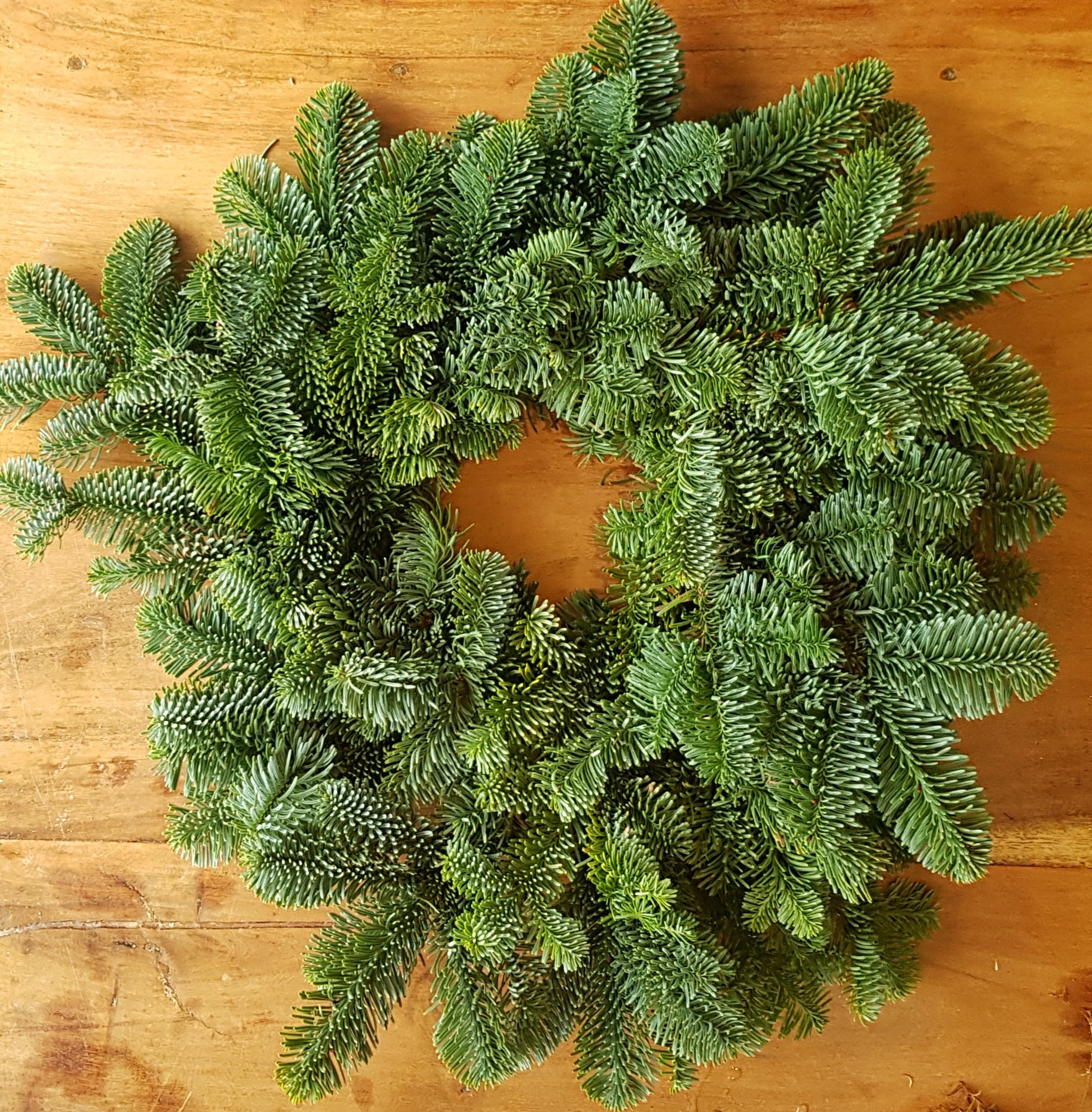40cm Pine Wreath - Foliage.