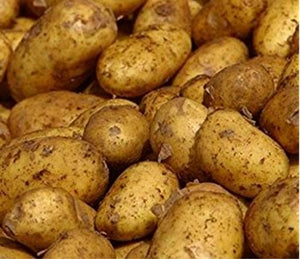 Maris Piper Seed Potatoes - 2kg Sack - Maincrop