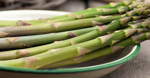 Asparagus Theilim - 1 Bareroot Plants