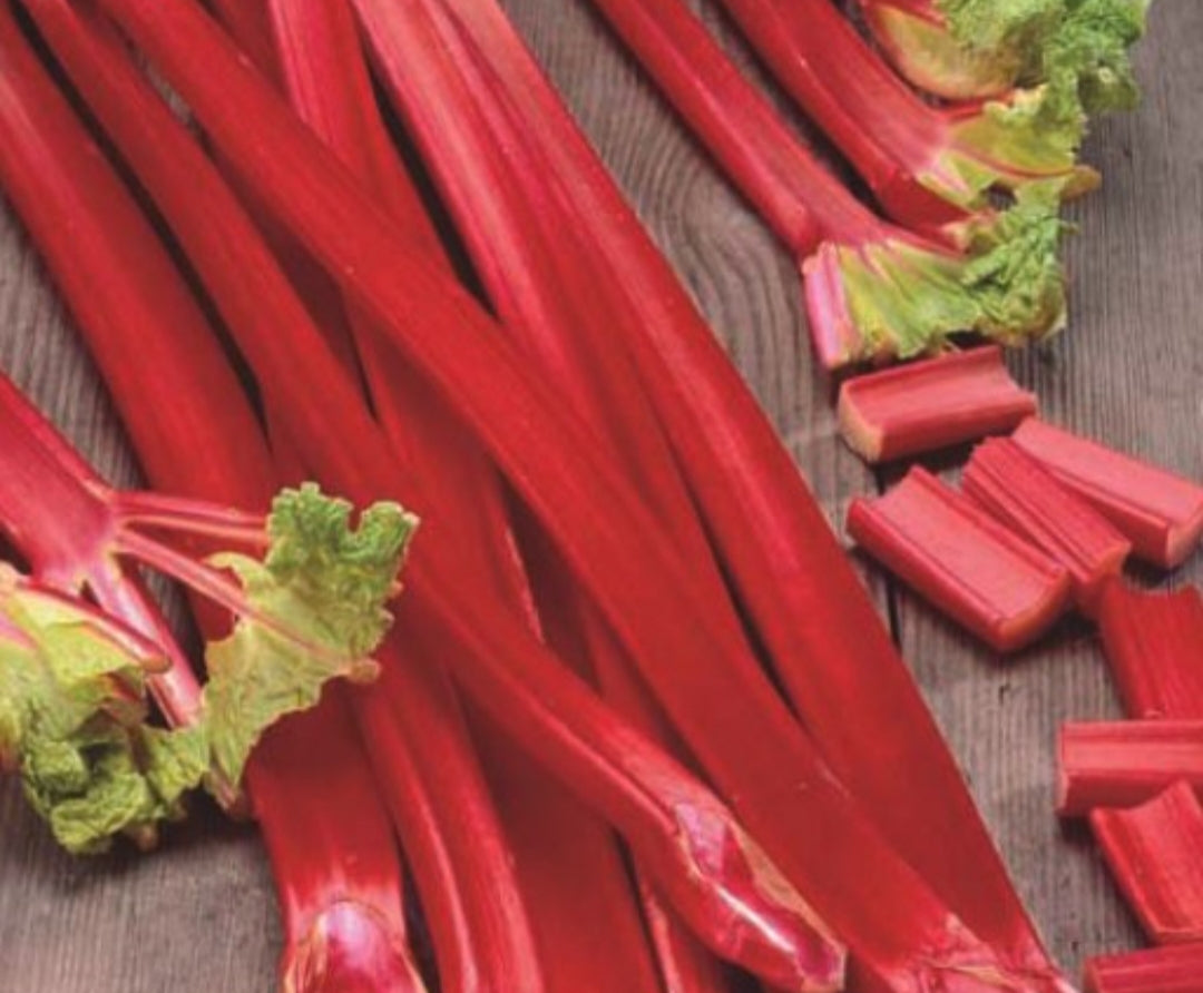 Rhubarb Holsteiner - 1 Bareroot Plant