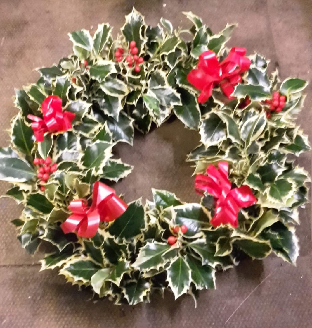 Wreath - Holly with Ribbon 35cm diameter
